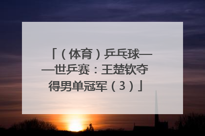 （体育）乒乓球——世乒赛：王楚钦夺得男单冠军（3）