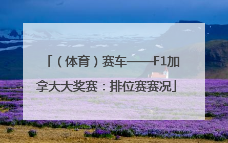 （体育）赛车——F1加拿大大奖赛：排位赛赛况