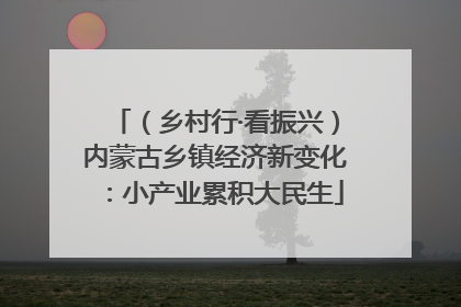 （乡村行·看振兴）内蒙古乡镇经济新变化：小产业累积大民生
