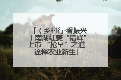 （乡村行·看振兴）南湖红菱“错峰”上市 “抢早”之道诠释农业新生
