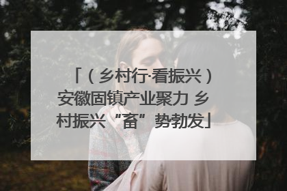 （乡村行·看振兴）安徽固镇产业聚力 乡村振兴“畜”势勃发