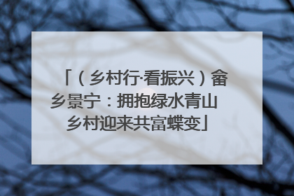 （乡村行·看振兴）畲乡景宁：拥抱绿水青山 乡村迎来共富蝶变