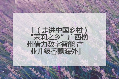 （走进中国乡村）“茉莉之乡”广西横州借力数字智能 产业升级香飘海外