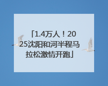 1.4万人！2025沈阳和河半程马拉松激情开跑