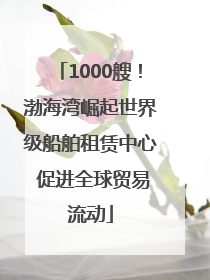 1000艘！渤海湾崛起世界级船舶租赁中心 促进全球贸易流动