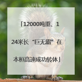 12000吨重、124米长“巨无霸”在本桓高速成功转体