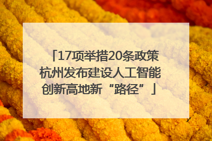 17项举措20条政策 杭州发布建设人工智能创新高地新“路径”