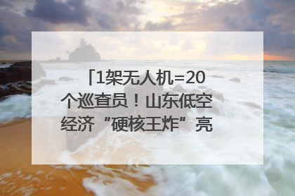 1架无人机=20个巡查员！山东低空经济“硬核王炸”亮相青岛，下一个万亿赛道藏在这里