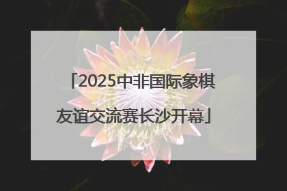 2025中非国际象棋友谊交流赛长沙开幕
