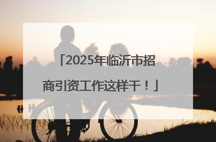 2025年临沂市招商引资工作这样干！