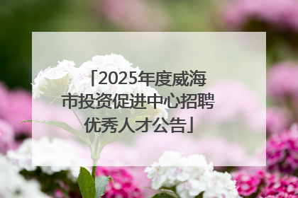 2025年度威海市投资促进中心招聘优秀人才公告
