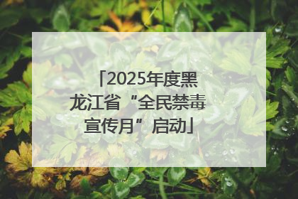 2025年度黑龙江省“全民禁毒宣传月”启动