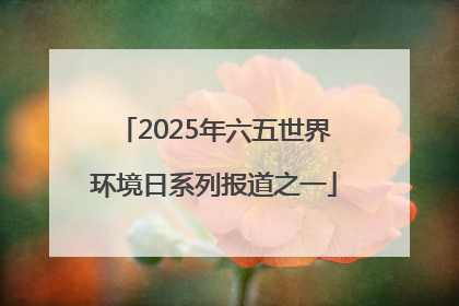 2025年六五世界环境日系列报道之一