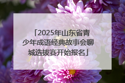 2025年山东省青少年成语经典故事会聊城选拔赛开始报名