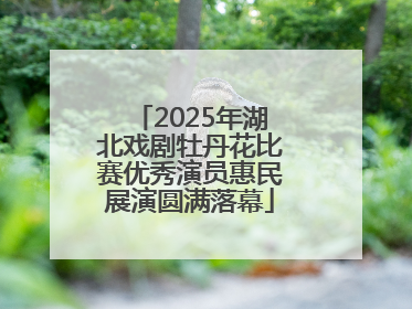 2025年湖北戏剧牡丹花比赛优秀演员惠民展演圆满落幕