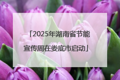2025年湖南省节能宣传周在娄底市启动