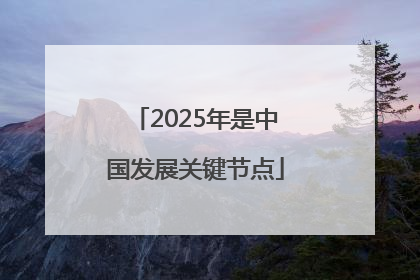 2025年是中国发展关键节点