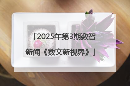 2025年第3期数智新闻《数文新视界》