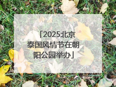 2025北京泰国风情节在朝阳公园举办