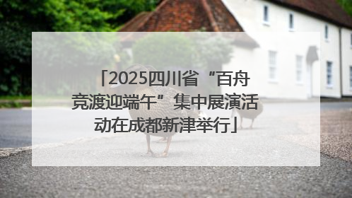 2025四川省“百舟竞渡迎端午”集中展演活动在成都新津举行