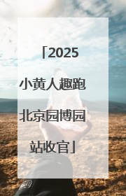 2025小黄人趣跑北京园博园站收官