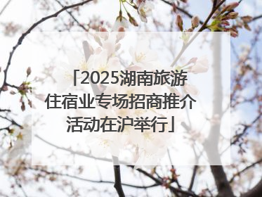 2025湖南旅游住宿业专场招商推介活动在沪举行