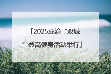 2025成渝“双城”登高健身活动举行