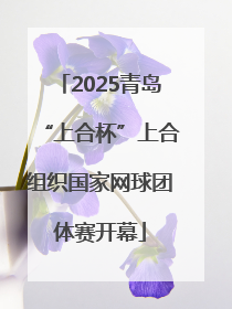 2025青岛“上合杯”上合组织国家网球团体赛开幕