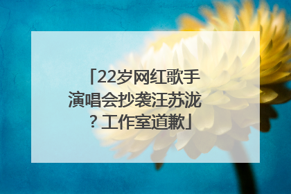 22岁网红歌手演唱会抄袭汪苏泷？工作室道歉