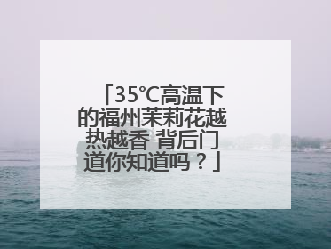 35℃高温下的福州茉莉花越热越香 背后门道你知道吗？