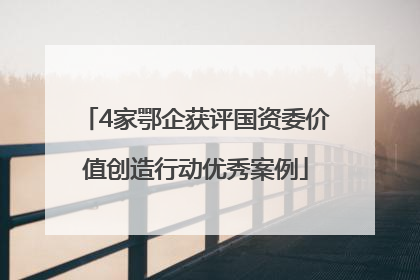 4家鄂企获评国资委价值创造行动优秀案例