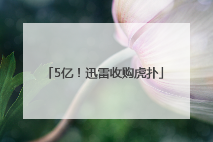 5亿！迅雷收购虎扑