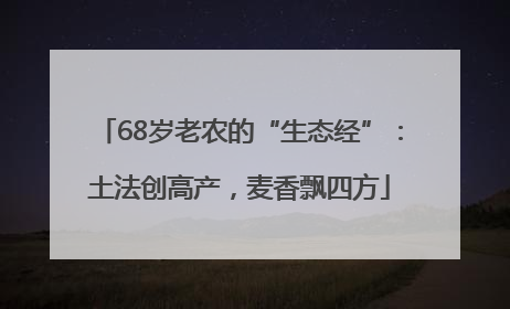 68岁老农的“生态经”：土法创高产，麦香飘四方