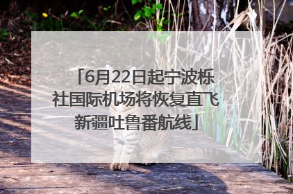 6月22日起宁波栎社国际机场将恢复直飞新疆吐鲁番航线