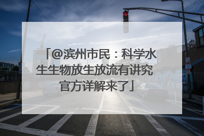 @滨州市民：科学水生生物放生放流有讲究 官方详解来了