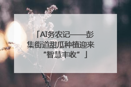 AI务农记——彭集街道甜瓜种植迎来“智慧丰收”