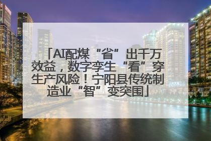 AI配煤“省”出千万效益，数字孪生“看”穿生产风险！宁阳县传统制造业“智”变突围
