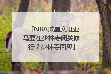 NBA球星文班亚马要在少林寺闭关修行？少林寺回应