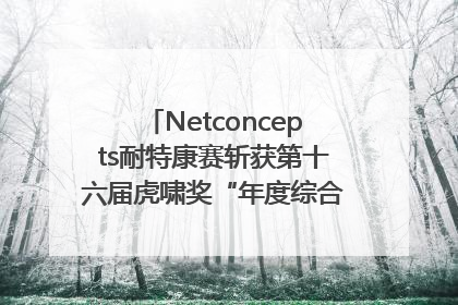 Netconcepts耐特康赛斩获第十六届虎啸奖“年度综合服务商”大奖