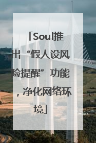 Soul推出“假人设风险提醒”功能，净化网络环境